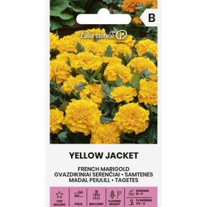 Тагетес Йелоу Джакет Tagetes patula Yellow Jacket