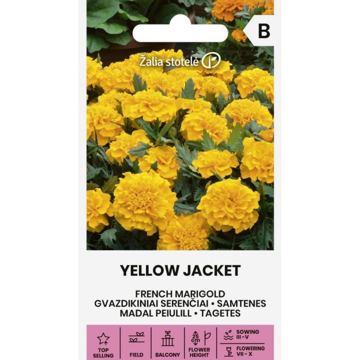 Тагетес Йелоу Джакет Tagetes patula Yellow Jacket