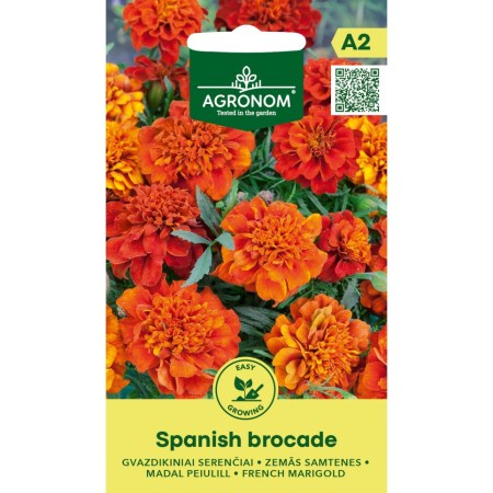 Тагетес Испански брокат Tagetes patula Spanish Brocade