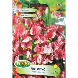Латирус Американа Lathyrus odoratus
