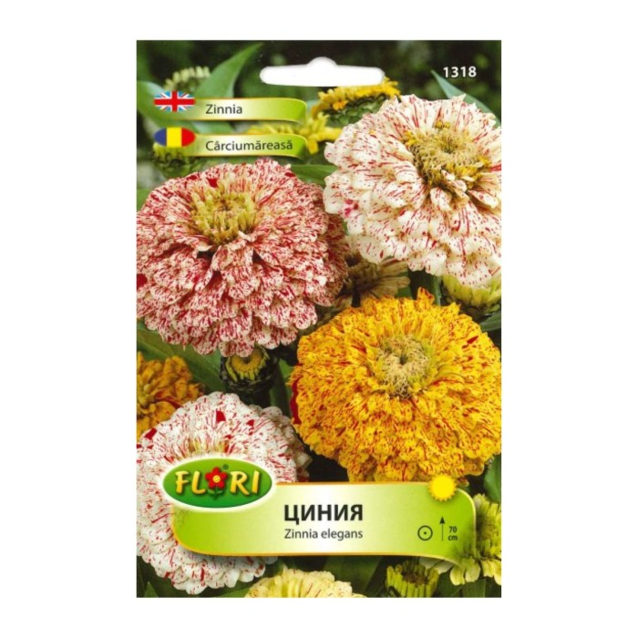 Циния Пеперминт стик Zinnia elegans