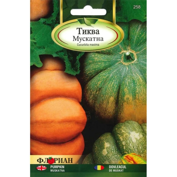 Тиква Мускат Ди Прованс