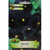 Виола черна