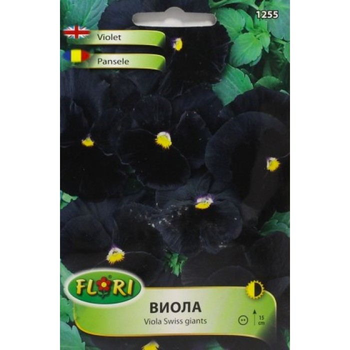 Виола черна