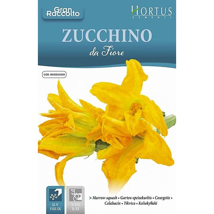 Цветове от Тиквичка Zucchino da Fiore