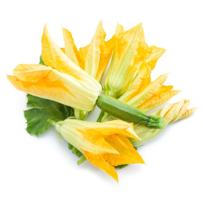 Цветове от Тиквичка Zucchino da Fiore