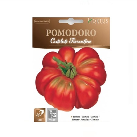 Домат Костолуто Фиорентино Costoluto Fiorentino