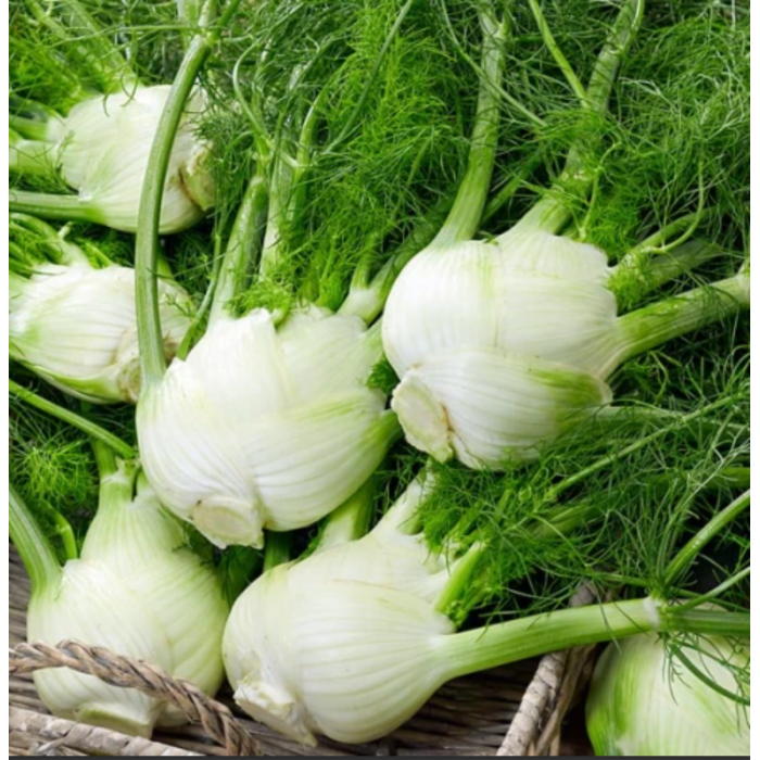 Финокио (Резене) Мамут
