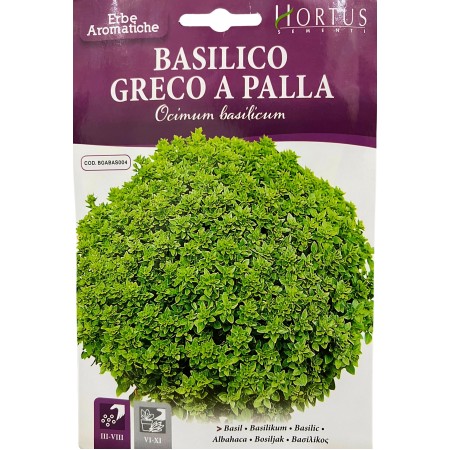 Босилек Гръцки мини Greco a palla
