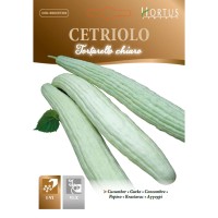 Краставици тип Крокодилки Светли Tortarello chiaro