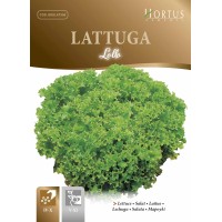 Маруля Лолло Lollo