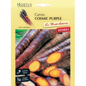 Морков Лилав космик Cosmic Purple