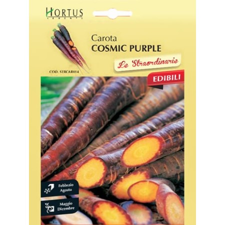 Морков Лилав космик Cosmic Purple