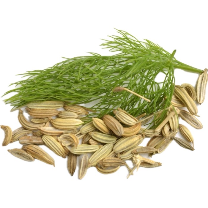 Семена от Див копър (Резене) Foeniculum vulgare