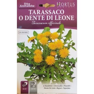 Семена от Глухарче Taraxacum officinalis