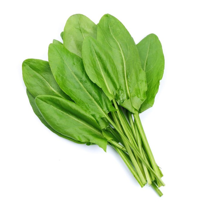 Семена от Киселец Rumex acetosa