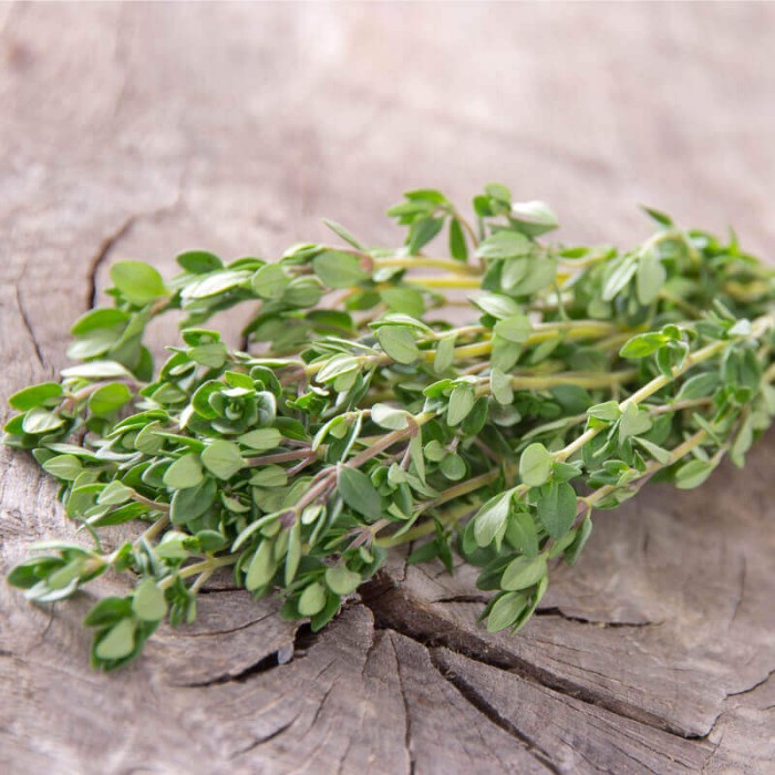 Семена от Мащерка Thymus vulgaris