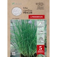 Семена на Диск от Шивес Erba Cipollina
