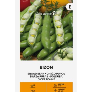 Бакла сорт Бизон Bizon