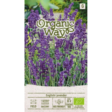 Органик Английска Лавандула Lavandula angustifolia Mill