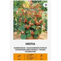 Фасул Хестия Hestia (саксиен с бяло зърно)