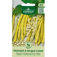 Фасул за зрял Мишел с дълги шушулки Michelet a longue cosse (джудже)