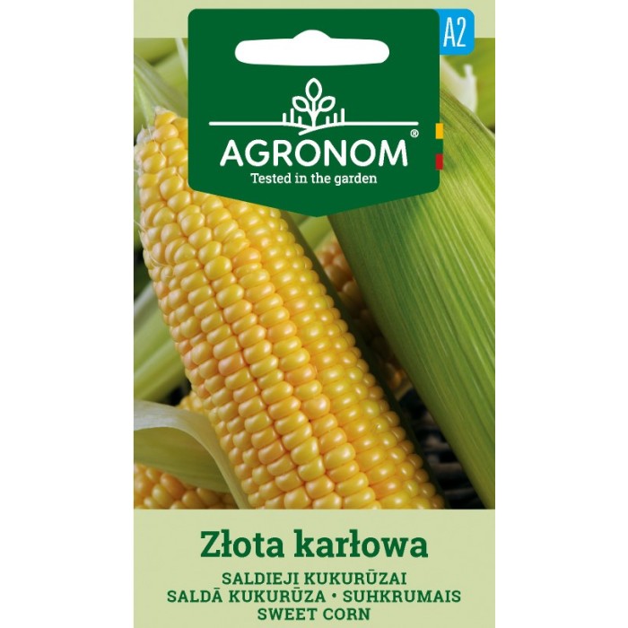 Царевица сладка Злота Карлова Zlota Karlowa