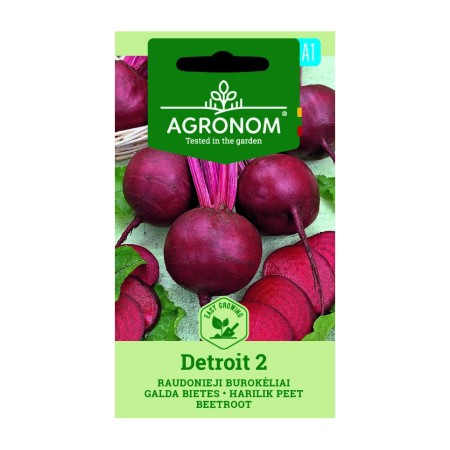 Салатно цвекло Детройт 2 Beta vulgaris L