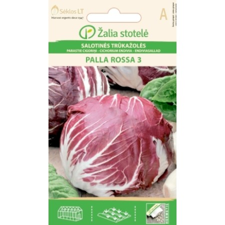 Италианска Цикория тип глава Palla Rossa 3