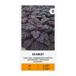 Кейл къдрав Скарлет Skarlet