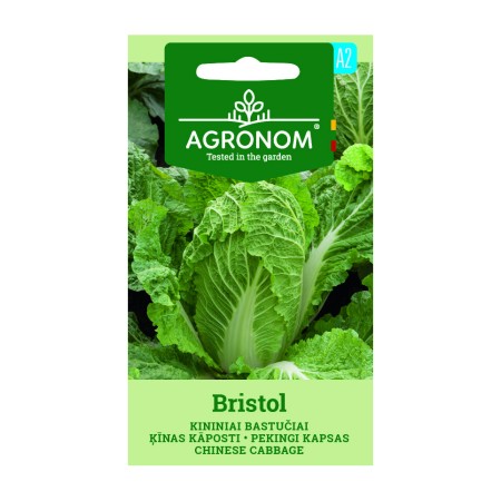 Китайско зеле Бристол Bristol