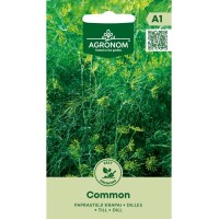 Копър Common
