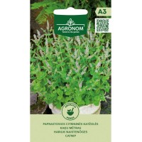 Непета (Котешка трева Коча билка) Nepeta cataria