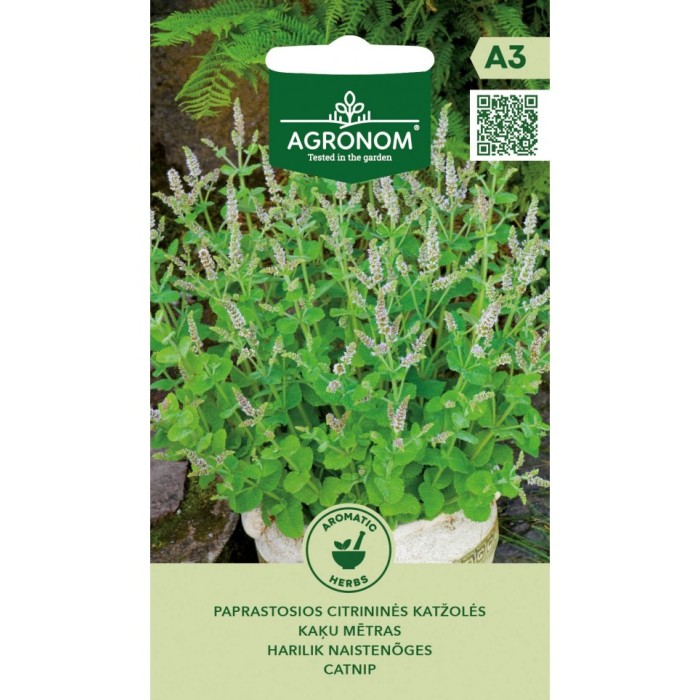 Непета (Котешка трева Коча билка) Nepeta cataria