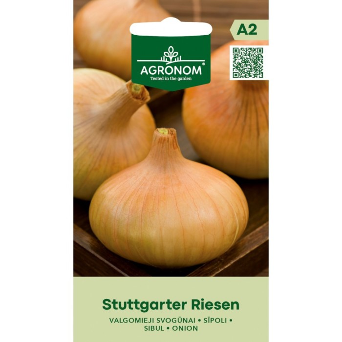 Лук Stuttgart Riesen
