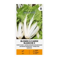 Манголд с бели дръжки Blonde à carde blanche 2