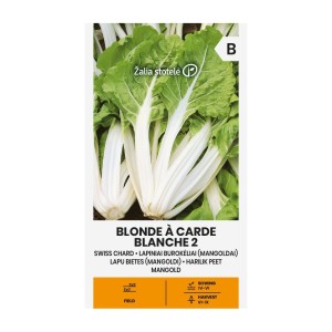 Манголд с бели дръжки Blonde à carde blanche 2