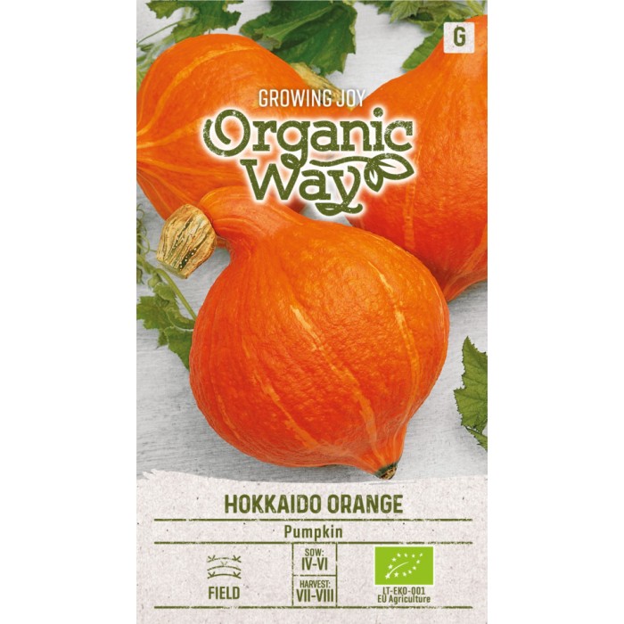 Органик Тиква Hokkaido Orange Cucurbita Maxima Duchesne