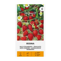 Ягоди Регина Fragaria vesca