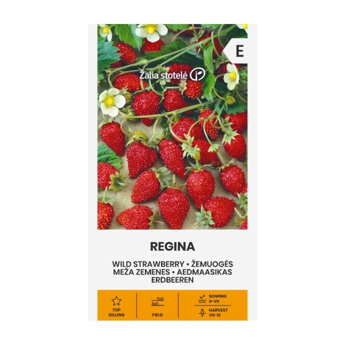 Ягоди Регина Fragaria vesca