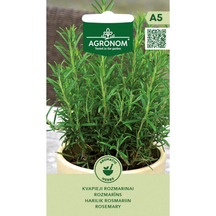 Розмарин Rosmarinus Officinalis