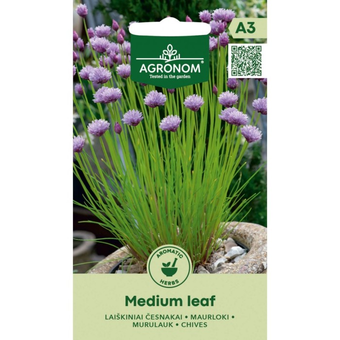 Шивес Чеснов Medium leaf