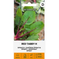Спанак с червени жилки Red tabby Н