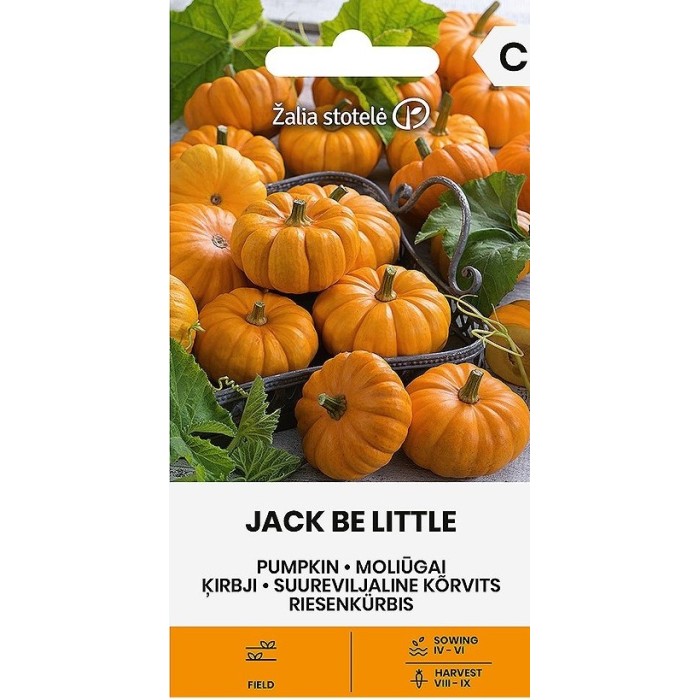 Тиква Джак Би Литъл Jack be Little