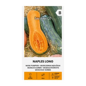 Тиква мускатна Неапол Лонг Naples Long