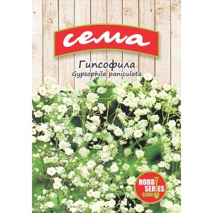 Гипсофила Gypsophila paniculata