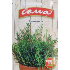 Розмарин Rosmarinus officinalis