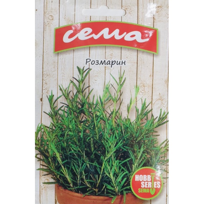Розмарин Rosmarinus officinalis