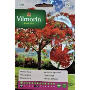Огнено дърво Delonix regia