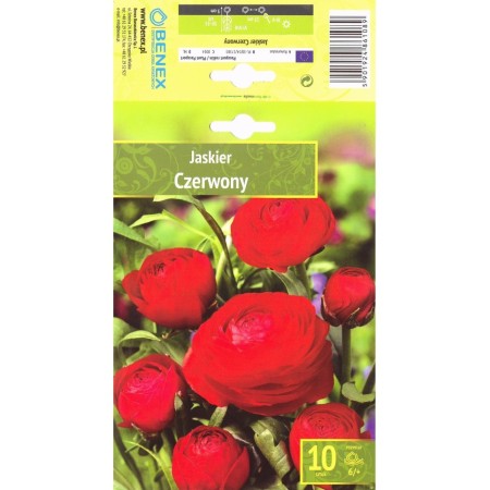 Лютиче Червено Ranunculus Red - 10 бр луковици